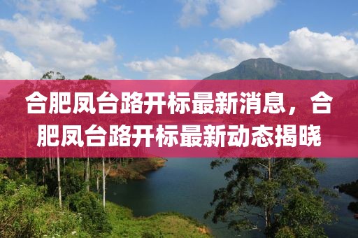 合肥鳳臺路開標最新消息，合肥鳳臺路開標最新動態揭曉