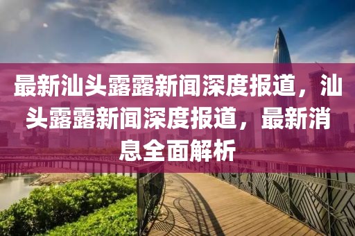 最新汕頭露露新聞深度報道，汕頭露露新聞深度報道，最新消息全面解析