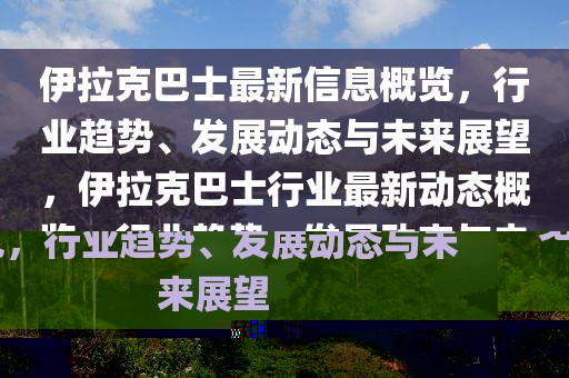 伊拉克巴士最新信息概覽，行業(yè)趨勢、發(fā)展動態(tài)與未來展望，伊拉克巴士行業(yè)最新動態(tài)概覽，行業(yè)趨勢、發(fā)展動態(tài)與未來展望