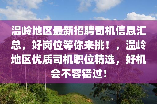 溫嶺地區最新招聘司機信息匯總，好崗位等你來挑！，溫嶺地區優質司機職位精選，好機會不容錯過！