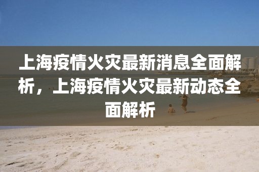 上海疫情火災最新消息全面解析，上海疫情火災最新動態全面解析