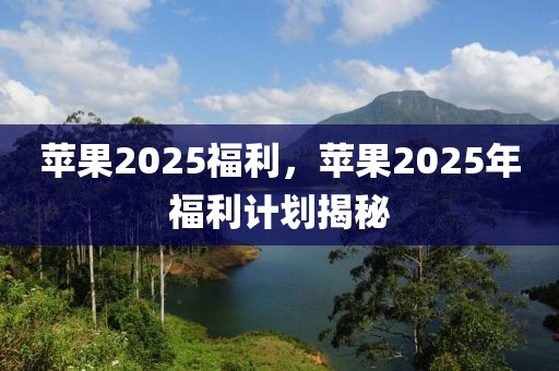 蘋果2025福利，蘋果2025年福利計劃揭秘