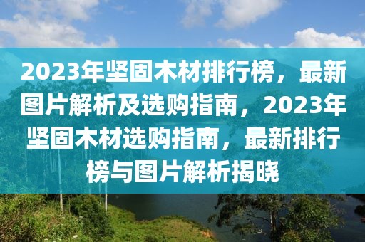 2023年堅固木材排行榜，最新圖片解析及選購指南，2023年堅固木材選購指南，最新排行榜與圖片解析揭曉